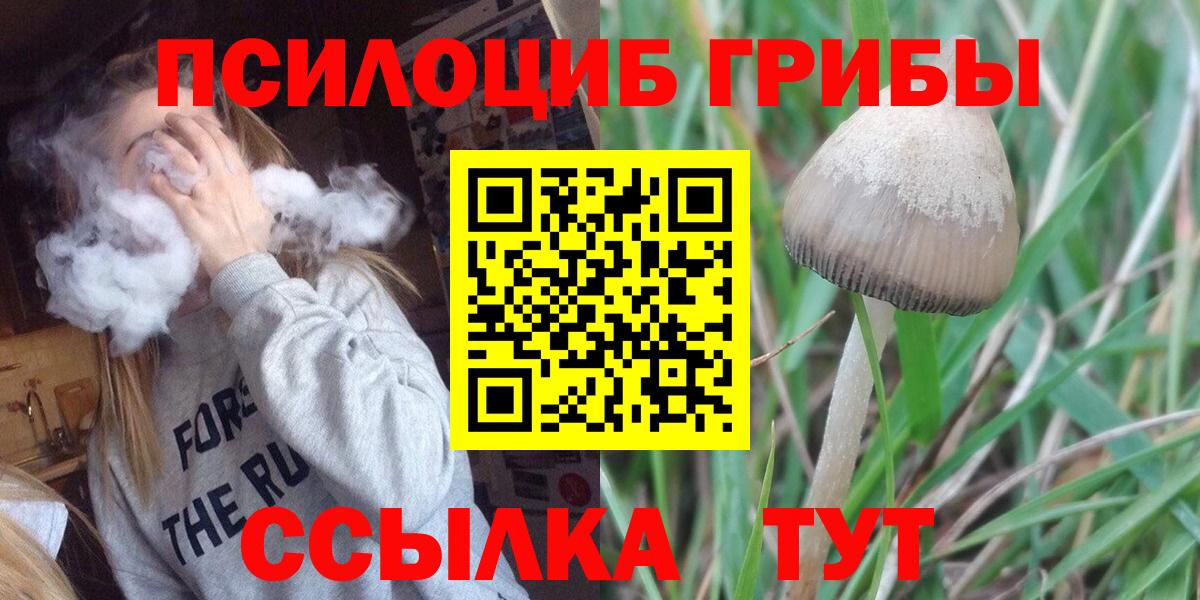 Галлюциногенные грибы ЛСД  продажа наркотиков  Псилоцибиновые грибы Cubensis  Фрязино  Вход с VPN 