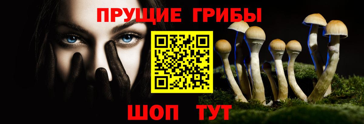 Псилоцибиновые грибы прущие грибы Фрязино